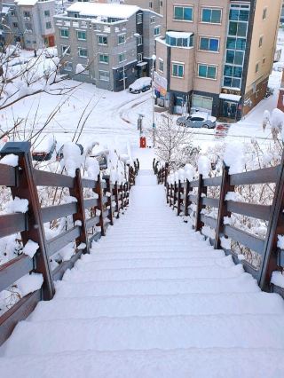 Leisure in the Namak Living Area: A Stroll in Juksan Park