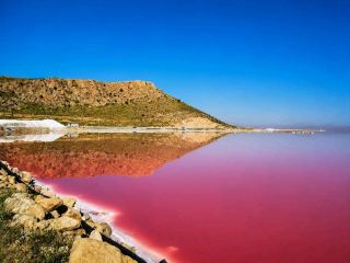 The best surprise near Shiraz wasn't in the city