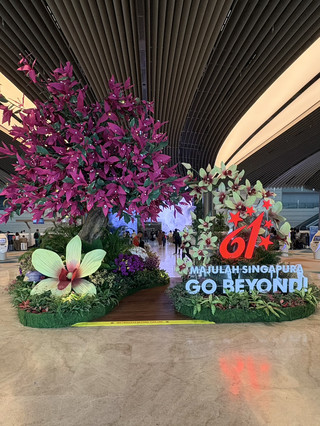 ✈️ Arriving at Singapore Changi Airport — One of the Easiest Airports for Tourists