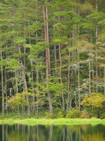 A breathtaking landscape woven from greenery and tranquility: the
