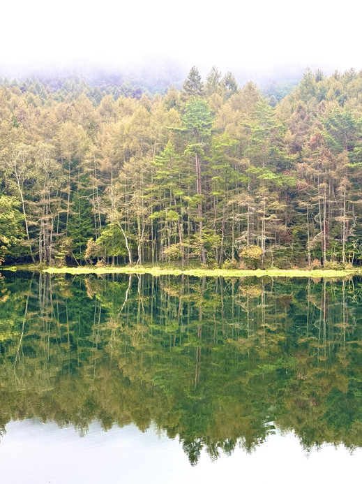 A breathtaking landscape woven from greenery and tranquility: the