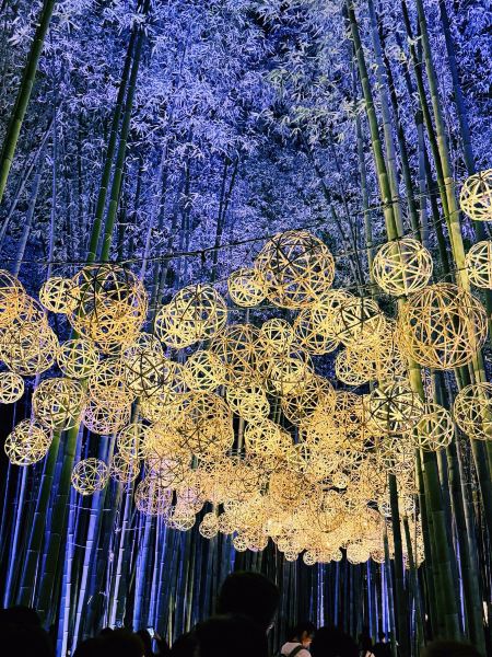 Стоит ли посетить это место осенним вечером в Киото? Честный отзыв о Arashiyama Woldo-ro 🌙🍁✨