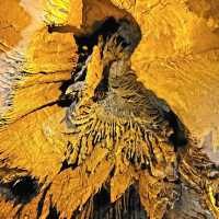 Exploring the Hidden Wonders: Domes & Dripstones at Mammoth Cave National Park