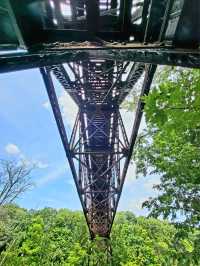 Roots, Rocks, and Rivers: Exploring Grand Ledge’s Hidden Trails