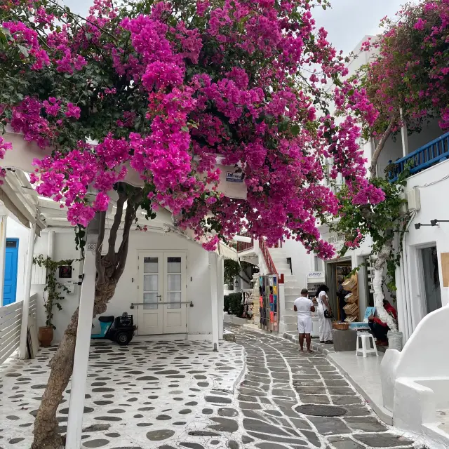 Picture Perfect Mykonos 🌺