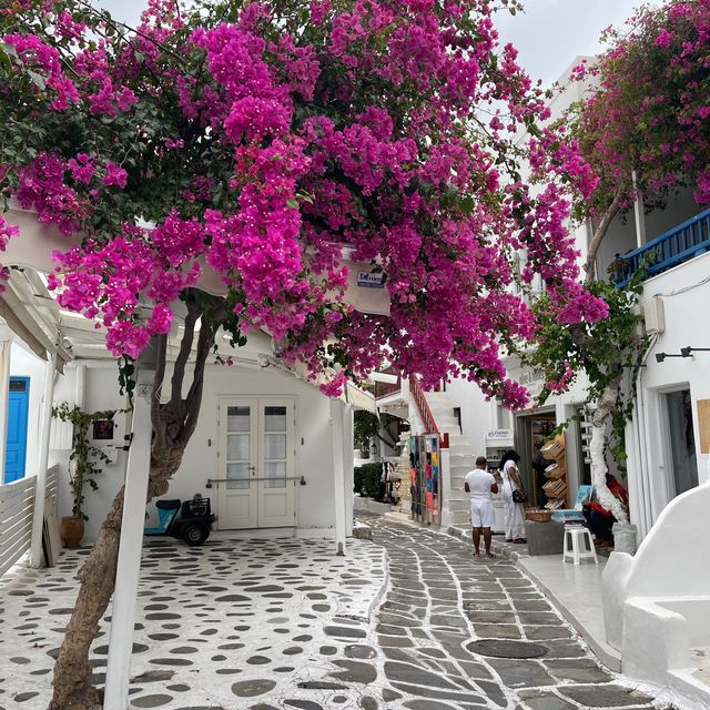 Picture Perfect Mykonos 🌺