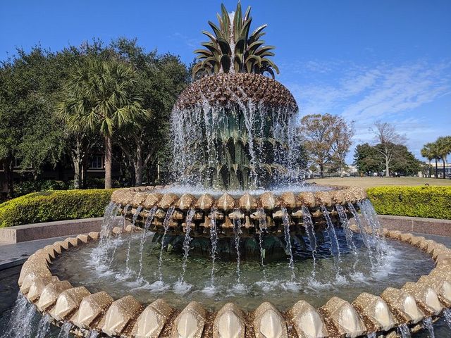 Charleston's Southern Charm 🌺🏰