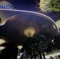 superTrees and night show at Singapore