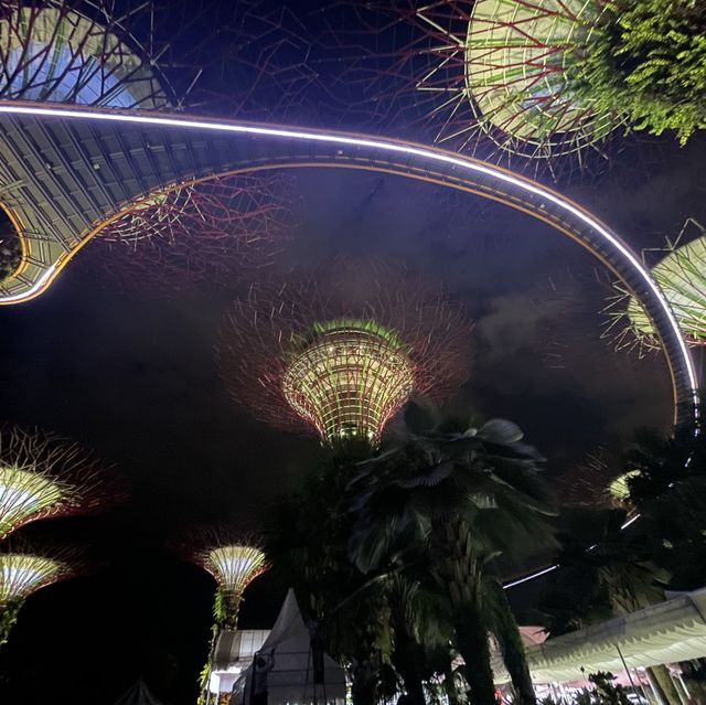 superTrees and night show at Singapore