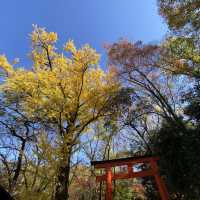 河合神社：參拜日本第一美麗神