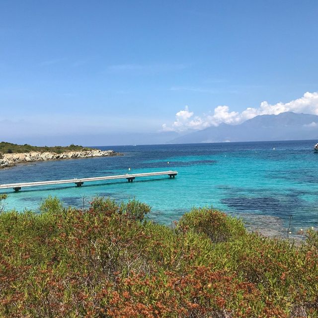 Serene Beauty of Corsica 🌿🏖️