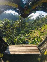 Bali's Tegallalang Rice Terraces
