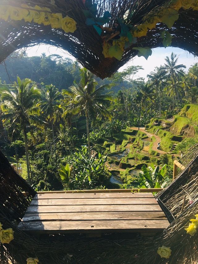 Bali's Tegallalang Rice Terraces