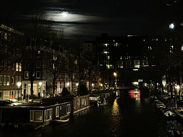 Amsterdam Unveiled: A Tapestry of Canals, Culture, and Culinary Delight