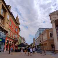 A Serene City in Northern Serbia
