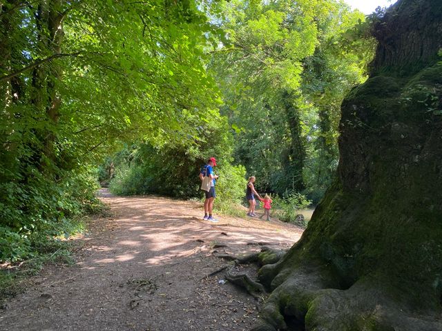 Serene Day at Lullingstone Country Park 🌳🌼
