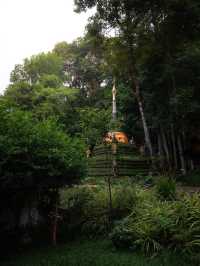  Wat Pha Lat