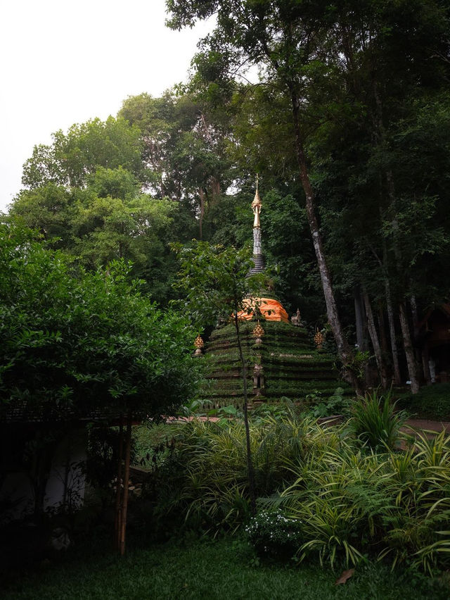  Wat Pha Lat