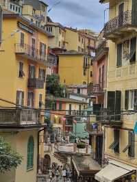 Manarola day trip 🇮🇹