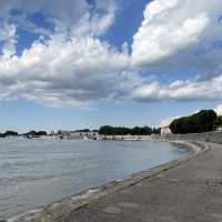 <法國 Arles 🇫🇷> 梵高足跡 🎨