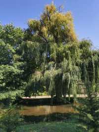 Autumn in Vrana Park 🌳