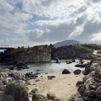 Taiwan’s mysterious stones: Yehliu Geopark