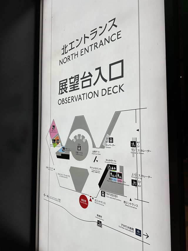 【東京傍晚時分的景點，東京鐵塔和晴空塔！晚餐為拉麵作結束！】