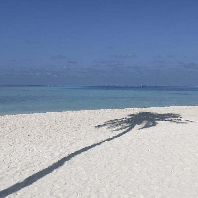 Maldives: Dream destination that won’t break the bank!