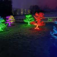 STOURHEAD CHRISTMAS LIGHTS!🎄