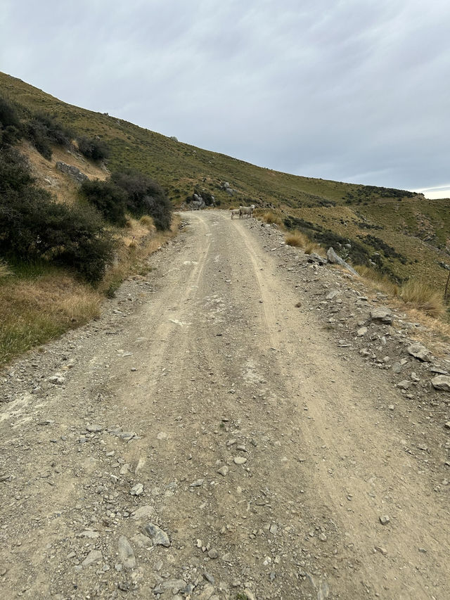 🚴‍♂️ Cromwell Cycling Adventure: Rivers, Hills & Scenic Rides 🌄