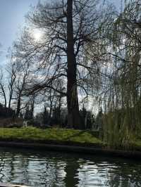 Cambridge 