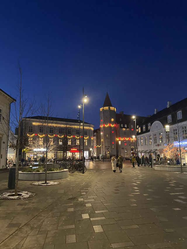 Aalborg 13 Days Itinerary