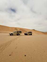 The Secret Life in the Desert — Living Desert Tour in Namibia 🏜️