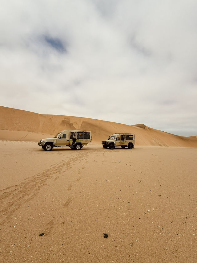 The Secret Life in the Desert — Living Desert Tour in Namibia 🏜️