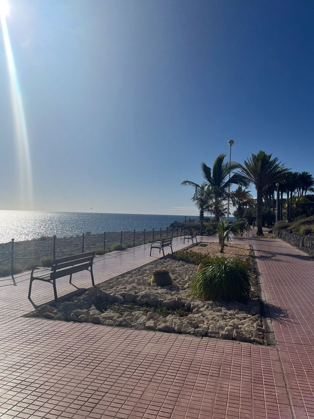Playa del Duque and Playa Fanabe Tenerife 🇪🇸