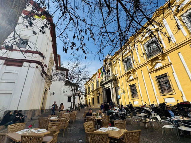 Cordoba, Spain a city with so much to offer. A memorable destination!