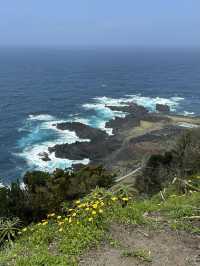 The Azores are one of the best hiking destinations in the world. 