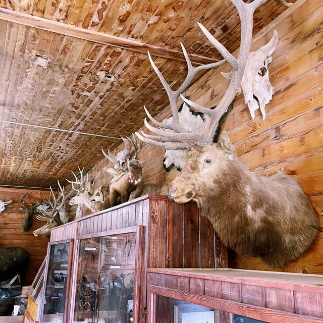 🏨 Where to Stay for Yellowstone? Let’s Talk Cody, Wyoming 🤠