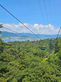⛩️ Miyajima Island Day Trip: Floating Torii Gate & Local Culture