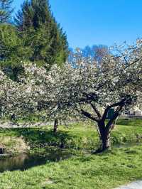 Lampeter: A Quiet Welsh Gem with a Gentle Soul