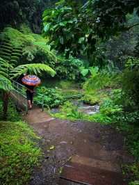 Goa Raja Waterfall, Bali: A Hidden Gem in the Jungle’s Embrace