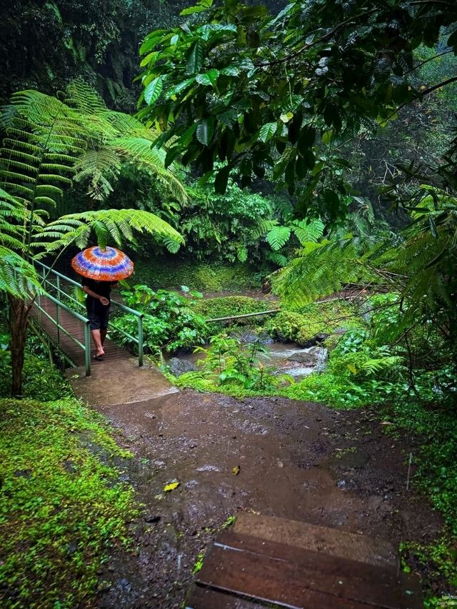 Goa Raja Waterfall, Bali: A Hidden Gem in the Jungle’s Embrace