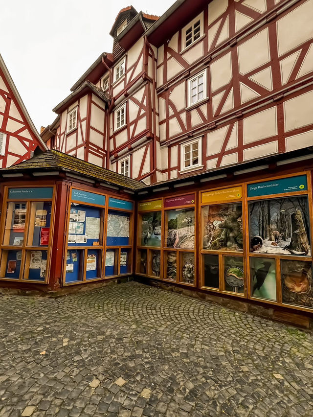 Wandering through history in Fritzlar, Germany 🇩🇪