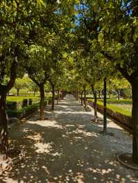 Discovering Málaga: A Perfect Blend of Sun, Culture & Tapas