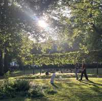 London City Walk: A Perfect Stroll Through History & Modern Buzz