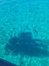 Greek Island Hopping 🇬🇷⛴️✨ – Your Ultimate Guide