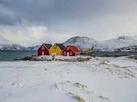  🕰️ Sommarøy – The Island That Forgot Time ❄️
