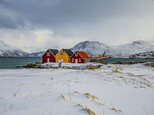  🕰️ Sommarøy – The Island That Forgot Time ❄️