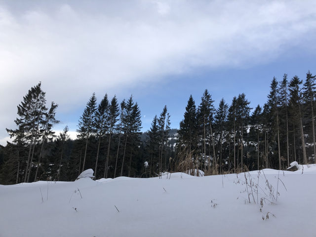 ❄️ Winter Hike to Kráľova Hoľa: Snowy Adventure in Slovakia ❄️ Winter Hike to Kráľova Hoľa: Snowy Adventure in Slovakia