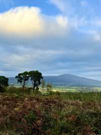Suir Blueway Adventures